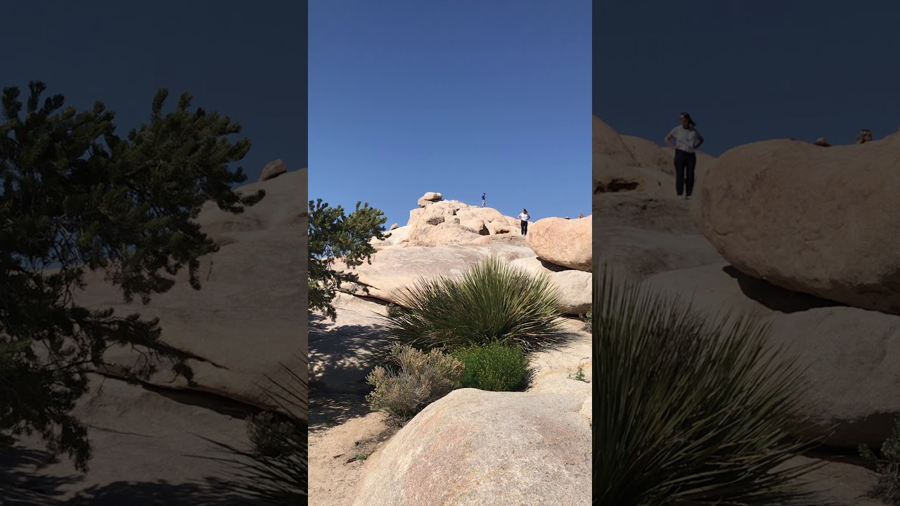 Joshua Tree NP YouTube