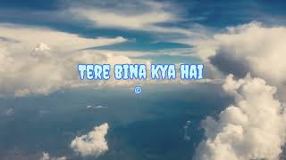 Tere bina kya hai || official music video