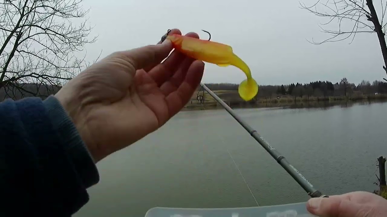 Tehnika varaličarenja jezerskog smuđa na silikonce-praktični prikaz