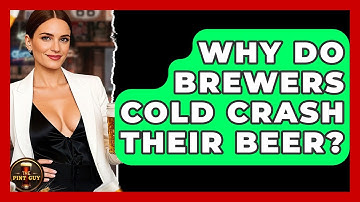 Why Do Brewers Cold Crash Their Beer? | The Pint Guy