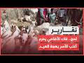 لحج.. غلاء الأضاحي يحرم أغلب الأسر بهجة العيد