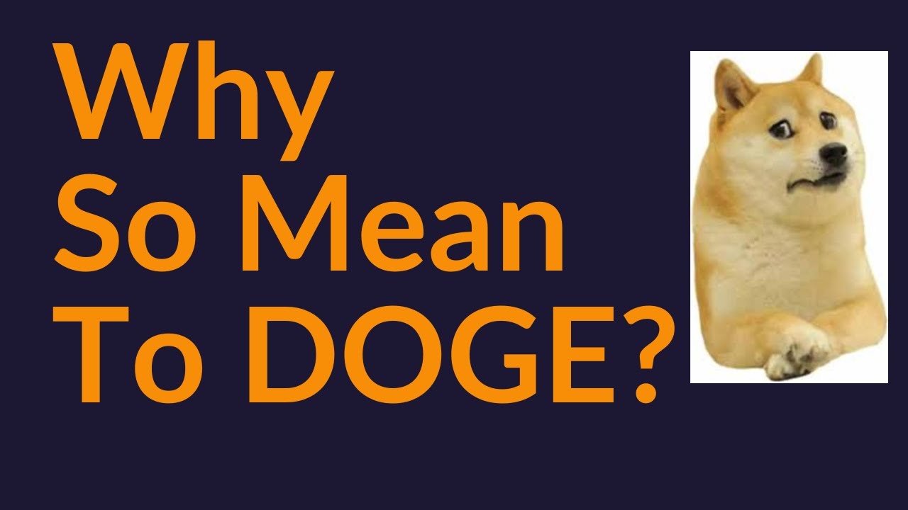 Why Am I So Mean To DOGE YouTube