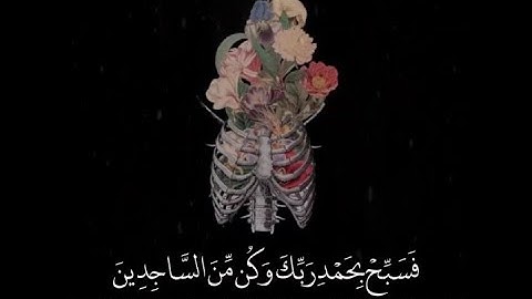 أربعه دقائق فقط راحه نفسيه من سوره النحل/القارئ عبدالرحمن مسعد🍃💛