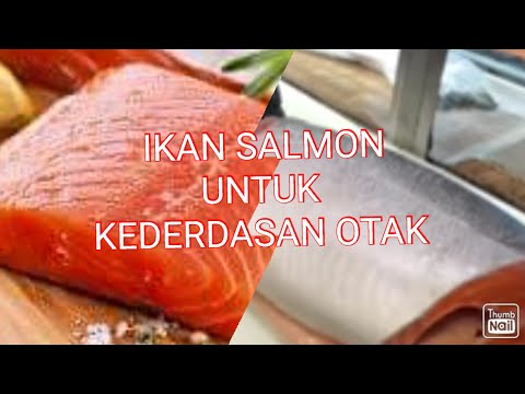 Video: Kalori Coho Salmon, Khasiat Dan Persiapan Yang Bermanfaat