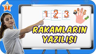 Rakamların Yazılışı ve Öğrenimi 👩🏻‍🏫 1.Sınıf Matematik ✨