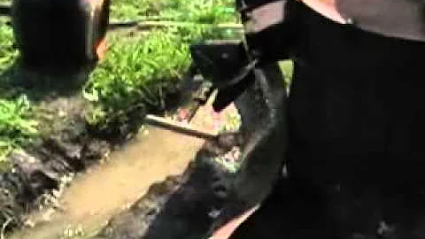 pjekje rakijet Kola e Marina  Shala Guci2009