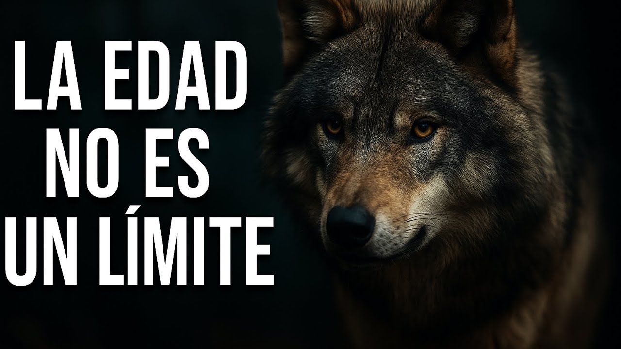 Reflexión del Lobo: volver a empezar a cualquier edad