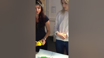 Beebot - algorithms in computing