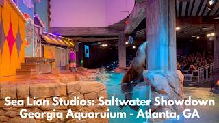 Sea Lion Studios: Saltwater Showdown! - Georgia Aquarium - Atlanta, GA