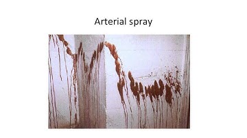 forensics blood spatter2