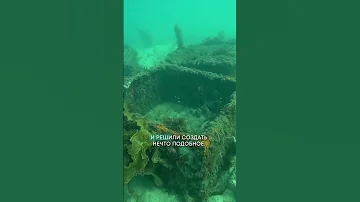 ГОСТИНИЦЫ ДЛЯ РЫБ | КАК УЧЕНЫЕ СОХРАНЯЮТ МОРСКИХ КОНЬКОВ