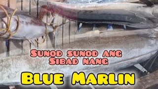 Sunod Ang Sibad Nang Blue Marlin ep42 