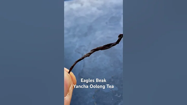A Wuyi Rock Tea from the heart of the prestigious Wuyi mountain range in Fujian province China - DayDayNews