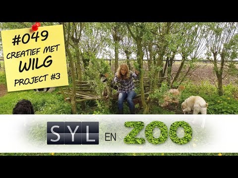 Video: Is de levensboom een wilg?