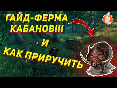 Видео: Valheim: Гайд Как приручить Кабана и построить ферму мяса 2021