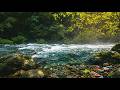 Tranquil River ASMR 🌊 Pure Water Sounds – No Rain No Music for Sleep &amp; Stress Relief