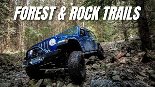 FOREST &amp; ROCK TRAILS