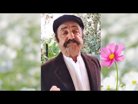 Barzelletta: "Il Continentale"