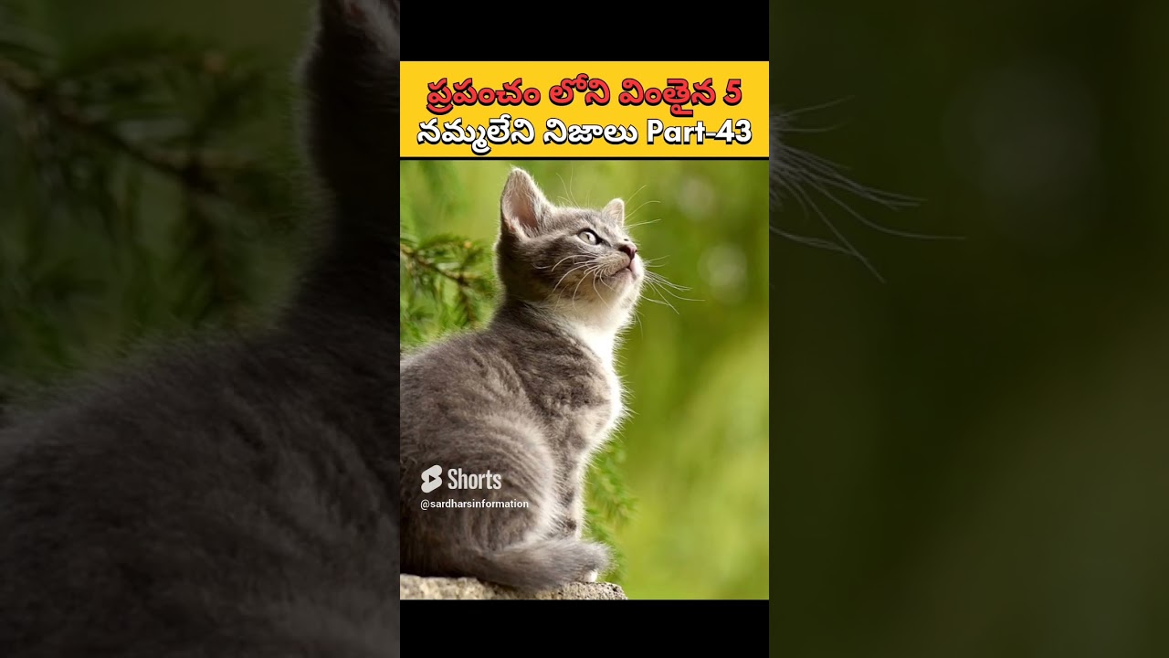 ప్రపంచం లోని వింతైన 5 నమ్మలేని నిజాలు Part 43   interesting facts in telugu 