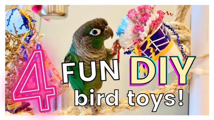 Diy Parrot Toys With Wood Beads And