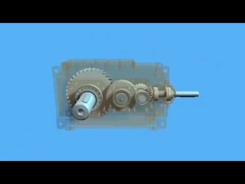 Helical bevel gearbox with bearing animation 