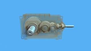 Helical bevel gearbox with bearing  animation