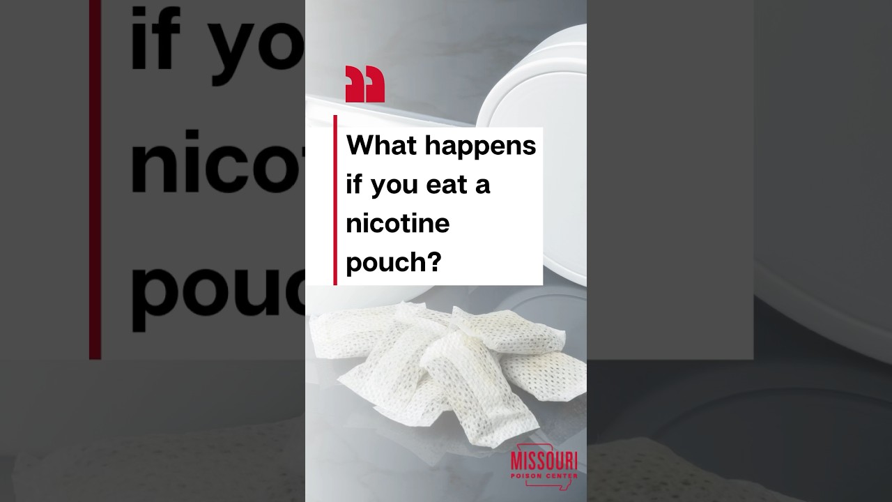 what happens if you swallow a tobacco pouch What happens if you swallow a nicotine pouch? #nicotinepouch #zyn #velo  #nicotine