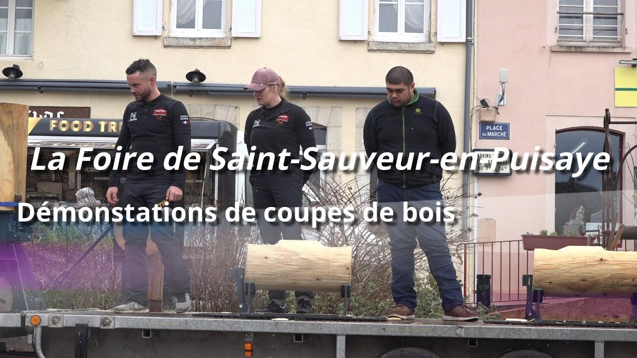 La Foire de Saint Sauveur en Puisaye 2026 - Démonstrations de coupes de  bois