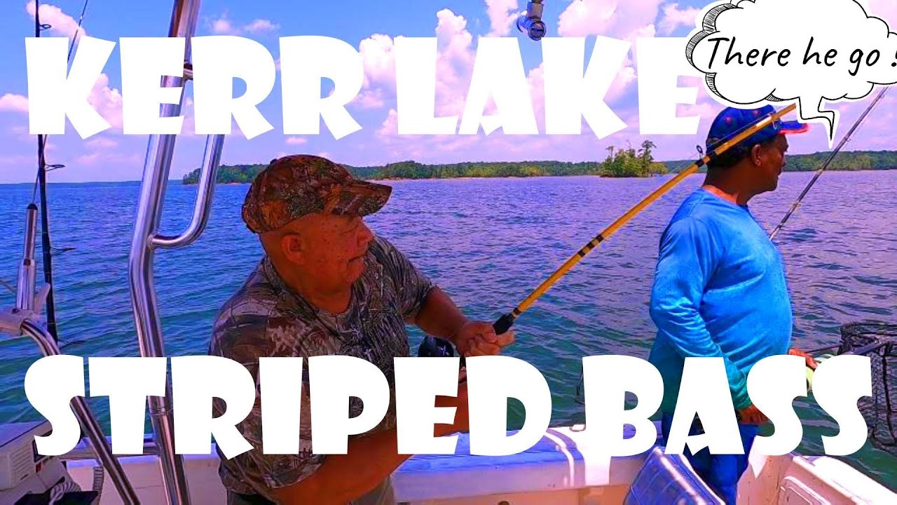 Let's Go Striped Bass Fishing on Kerr Lake NC/VA YouTube