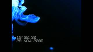 TV2 NZ LOGOS 2006