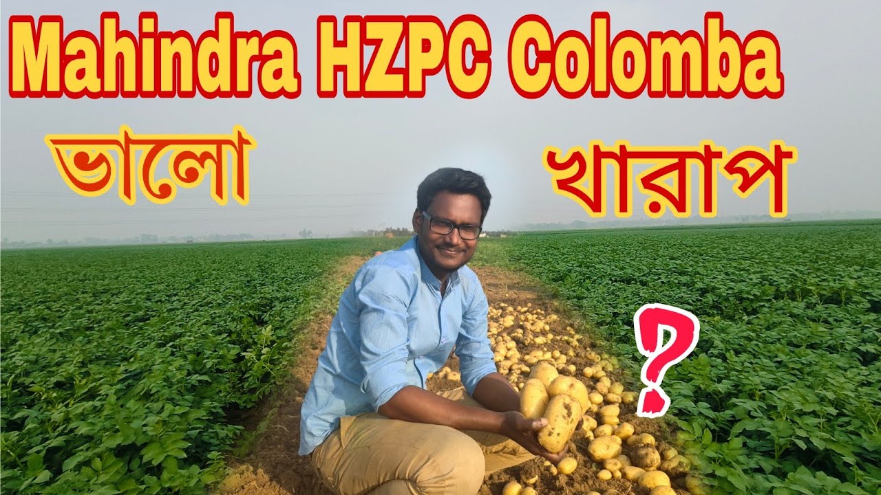 মাহেন্দ্রা কলম্বো আলু চাষ: 