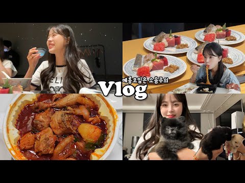 [먹방vlog] 모델시절부터 지금까지 한결같은🤭 _ 마라비빔면+<strong>김치짜글이</strong>+엽도리탕+탕후루+꼬물이들+오마카세