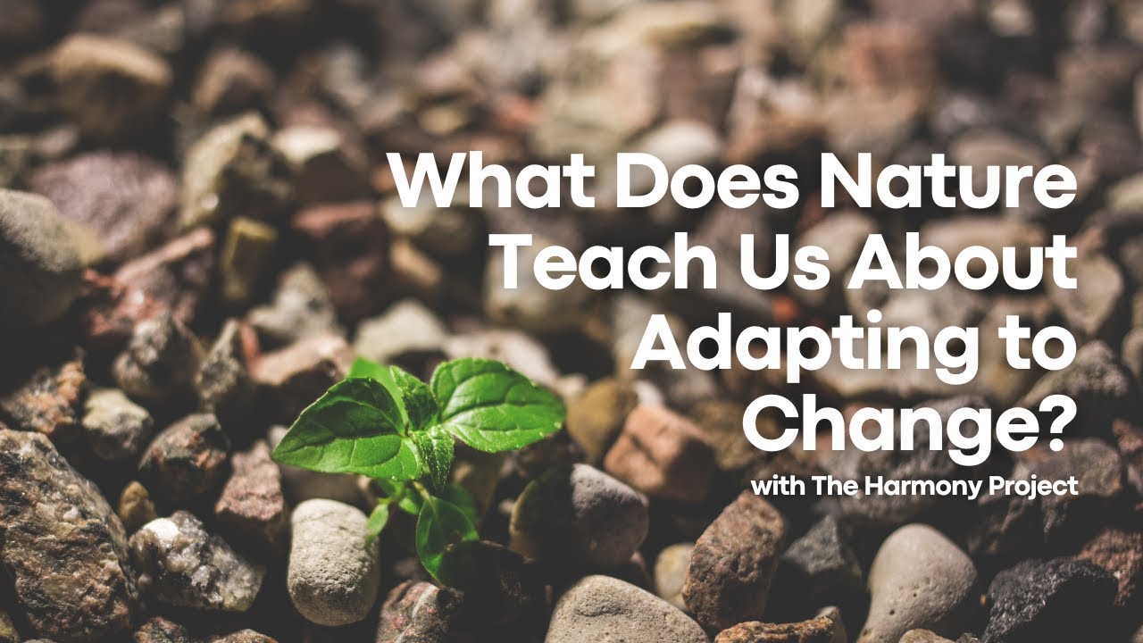 WHAT DOES NATURE TEACH US visual data 3