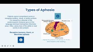 20 Speech disorders in diseases of the nervous system (aphasia, dysarthria, and anarthria).