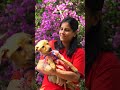 Asmaan se gira puppy aur kismat badal gayi #peepalfarm