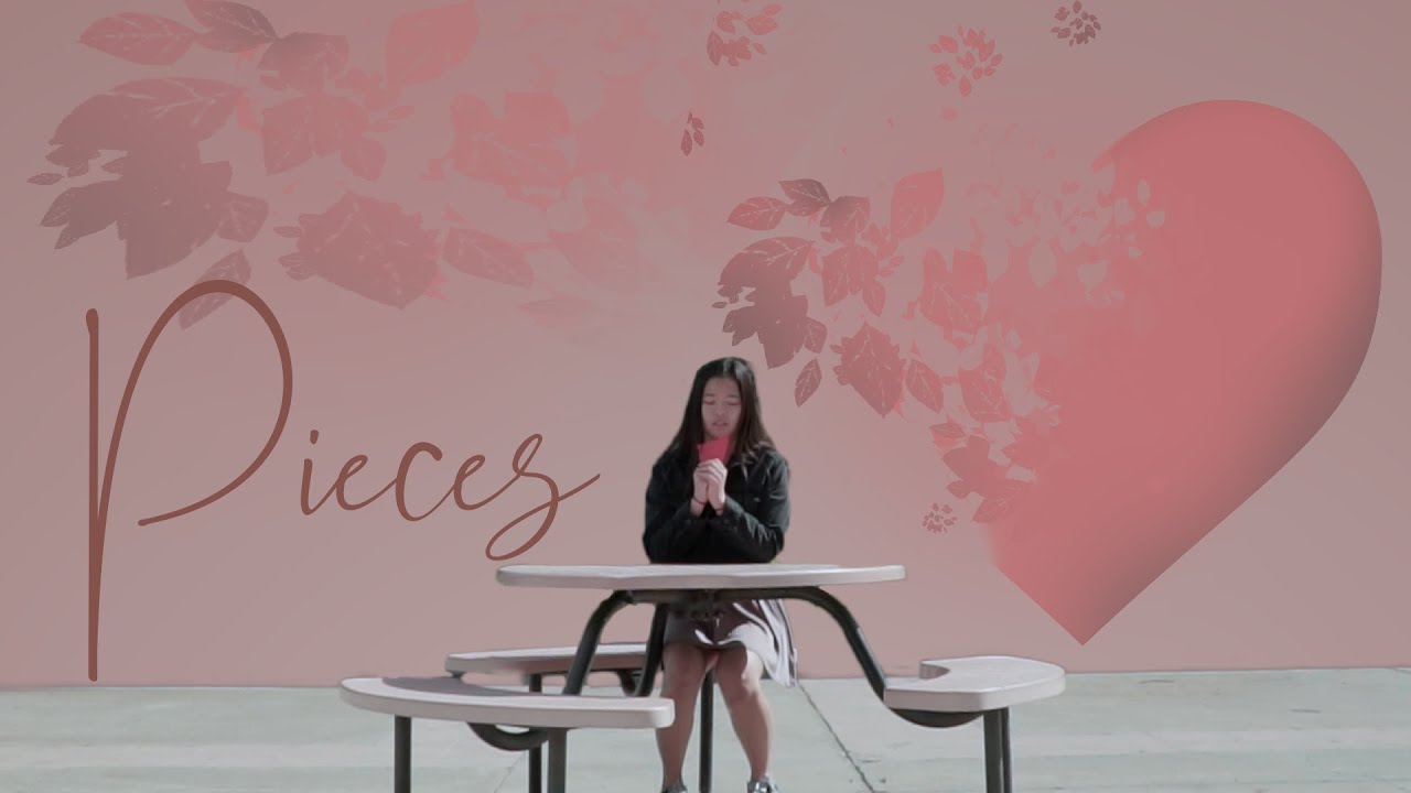 Pieces - A Reverse Narrative