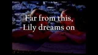 Lily Dreams On - Cotton Mather Lyrics