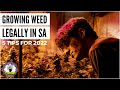 5 Tips to Grow Weed Legally in South Africa!