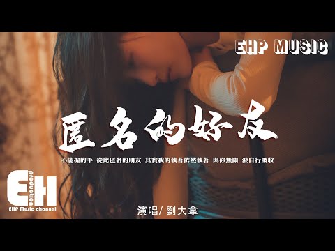 劉大拿 - 匿名的好友（心動版）（原唱：楊丞琳）『不能握的手 從此匿名的朋友，其實我的執著依然執著。』【動態歌詞/Vietsub/Pinyin Lyrics】