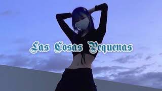 Las Cosas Pequeñas- Prince Royce (slowed)