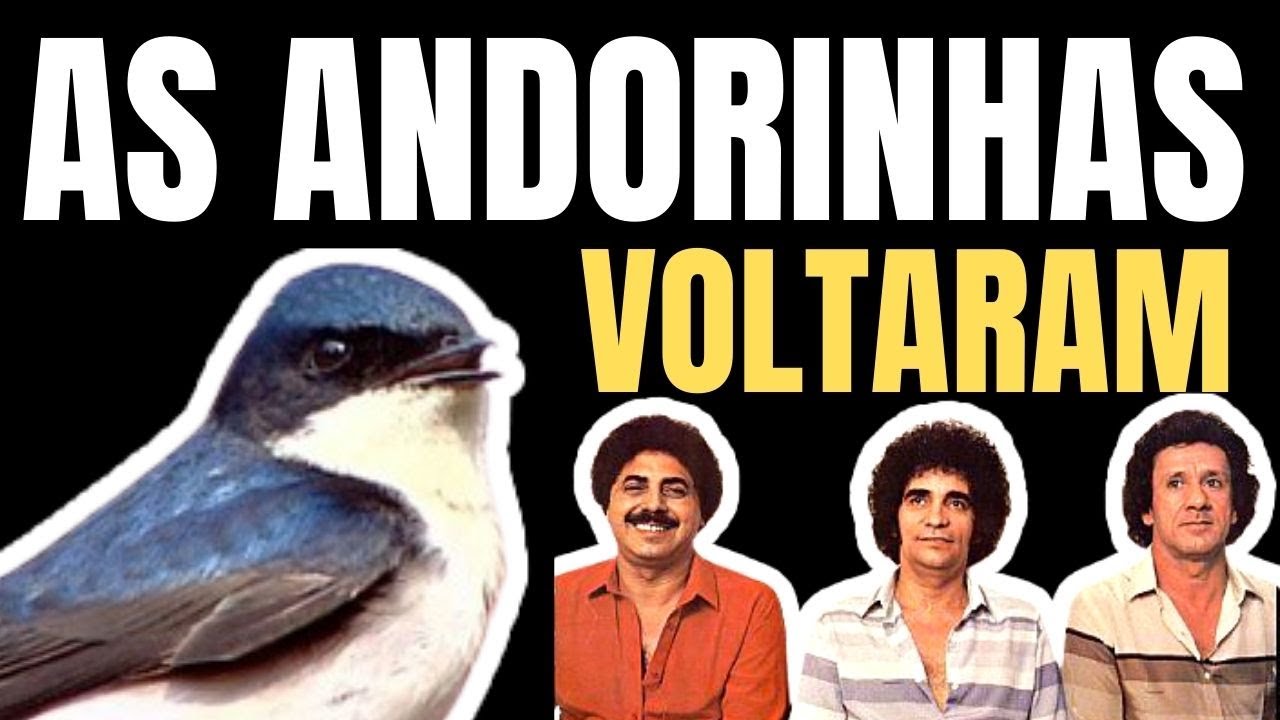 AS ANDORINHAS VOLTARAM - TRIO PARADA DURA - PASSO A PASSO NO TECLADO!