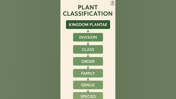 Plant classification system
