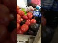 Shopping For Groceries MercyNguku The World Traveller Worshipsongrewritten 