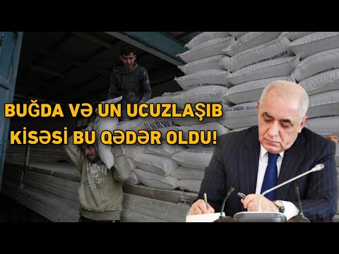 Video: Yapon pişiyi: cinslər, təsvir, şəkil