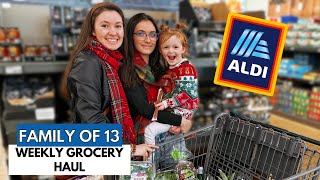 Family of 13: Aldi Weekly Grocery Haul! Whats New for Christmas