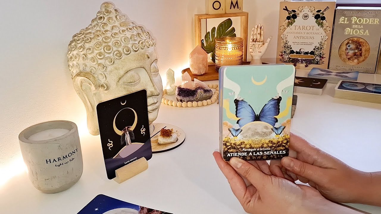 🍃🦋 ¿QUÉ NECESITAS SABER? 🦋🍃 TAROT INTERACTIVO