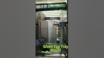 green egg tray #machine #moldfactory  #factory #mold