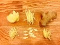 5 Ways to Cut Ginger for Chinese Cooking by CiCi Li
