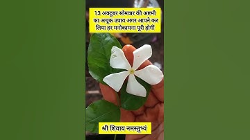 13 अक्टूबर सोमवार की अष्टमी का अचूक उपाय अगर आपने कर लिया तो आपकी हर मनोकामना पूरी होगीं #upay