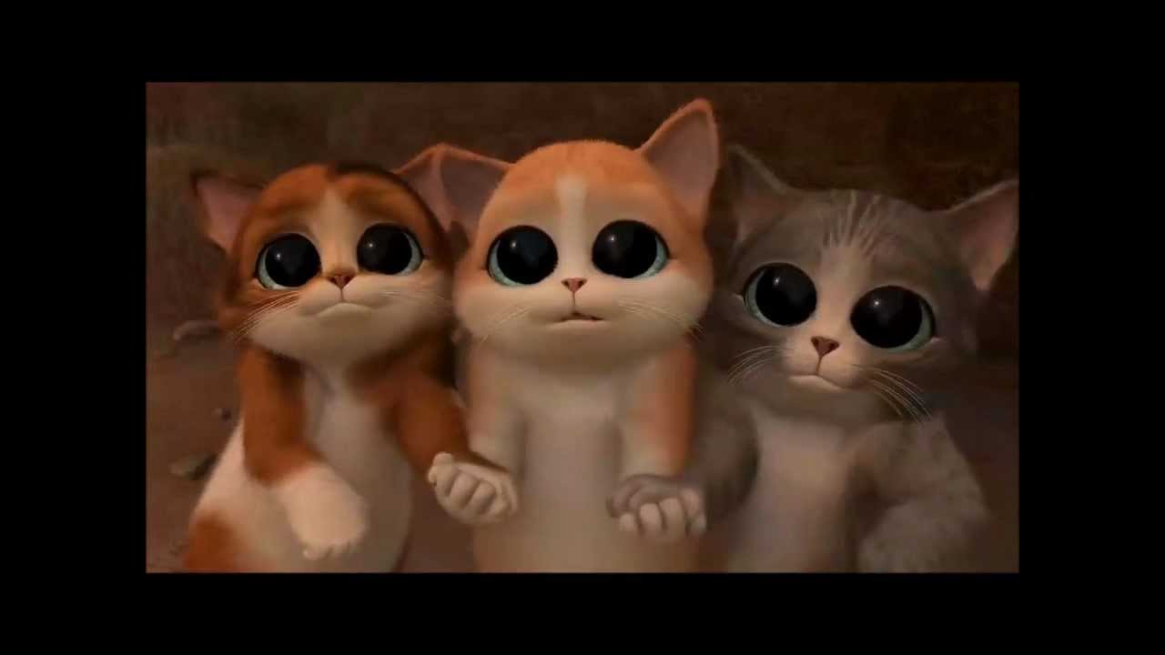 La pelea de ojos del gato con botas hd YouTube La pelea de ojos del gato con botas hd YouTube